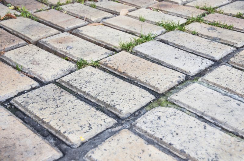 Brick Flatwork Repair in Dewitt, MI