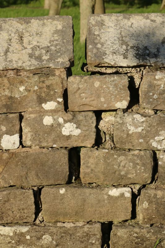 Rock Wall Repair in East Lansing, MI
